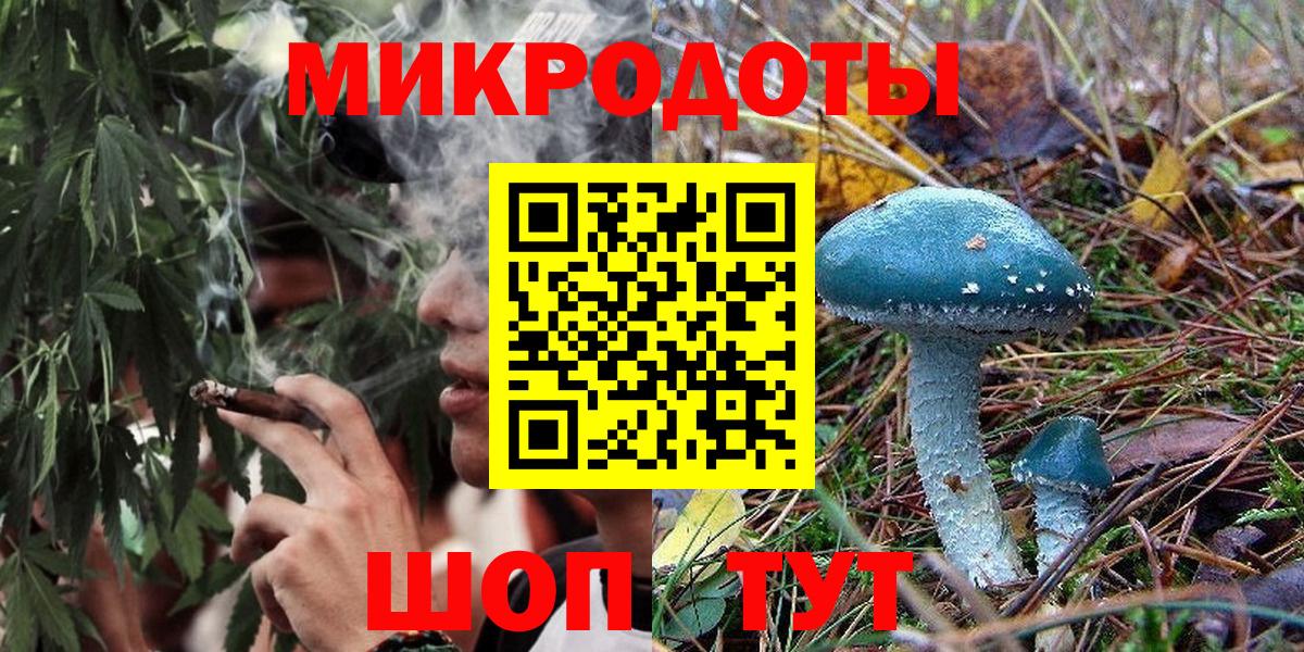 Псилоцибиновые грибы мицелий Мурманск